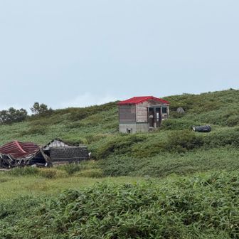 手前の小屋は雪の重みで潰れいるとか