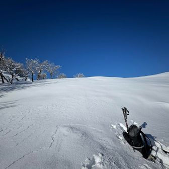 ここからスノーシューでノートレースのハイクを楽しみます