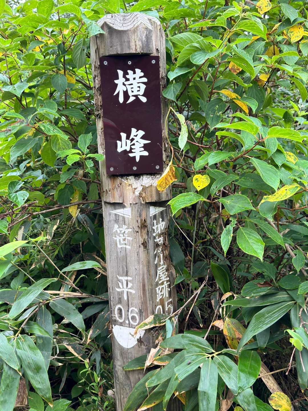 横峰到着
1個めのピークらしい