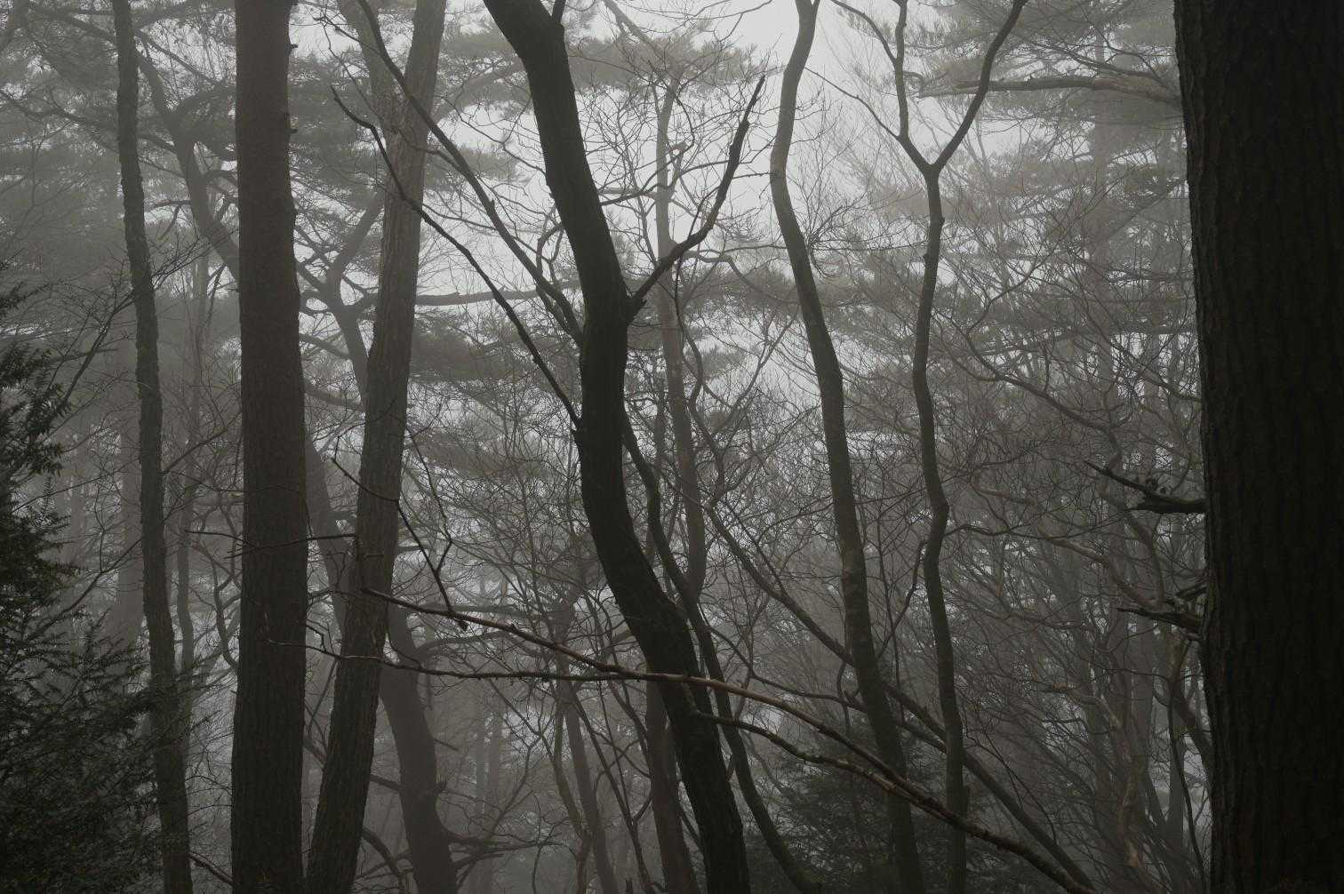 霧訪山登山口-霧訪山 往復コースの写真