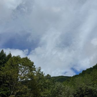 晴れてきた