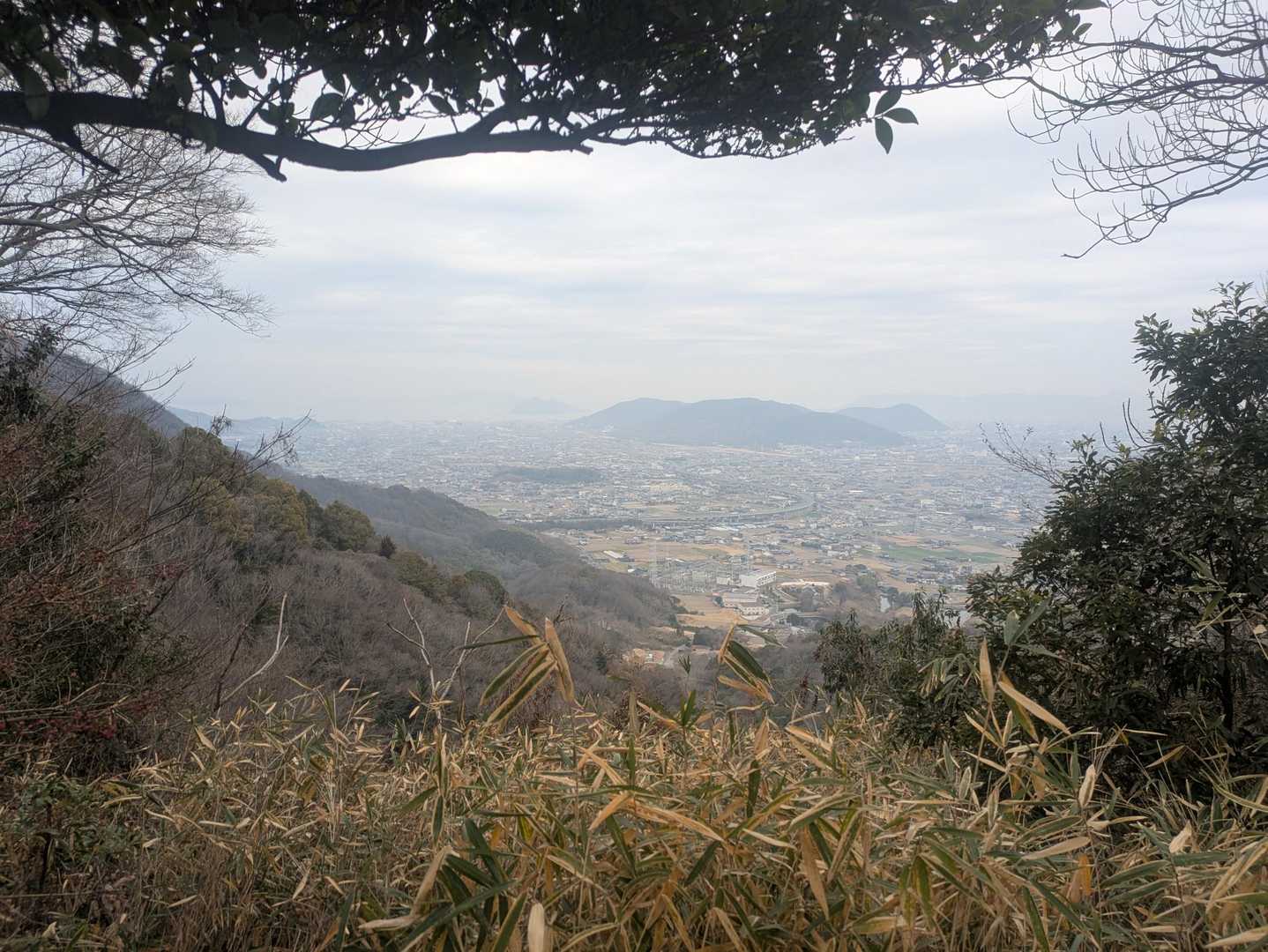 堂山までの途中第2ビューポイント