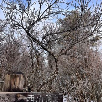 西山山頂
静かです♪