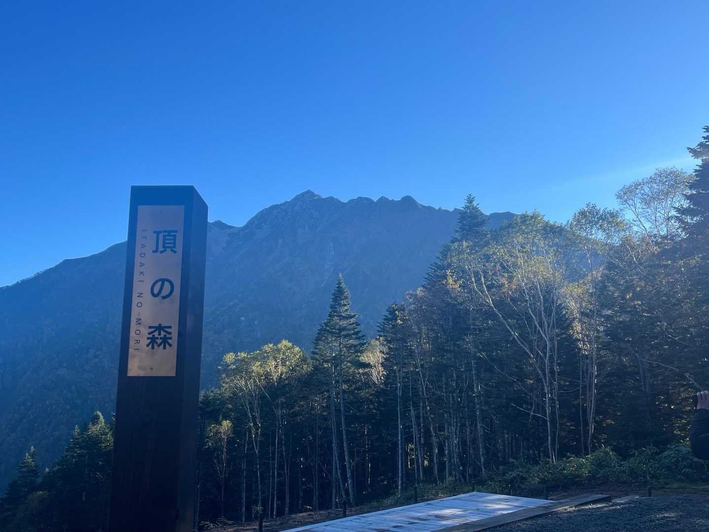 頂きの森🌳

ゆっくり散策したいが、先を急がねば💨💨💨