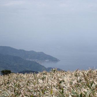 まだ霧晴れないなー