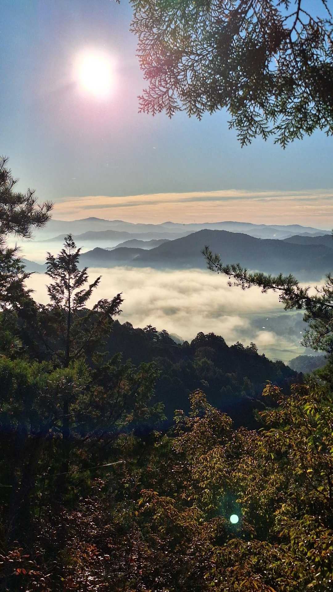 金輪寺-半国山 往復コースの写真