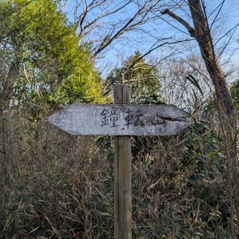 鍋転山山頂はかなり荒れております
