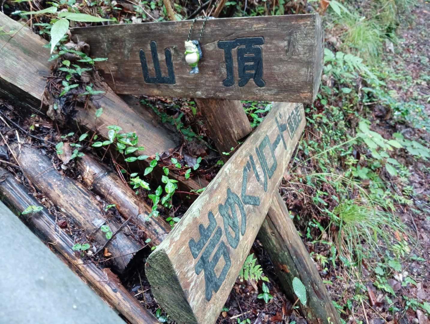 標識と同行者🐸