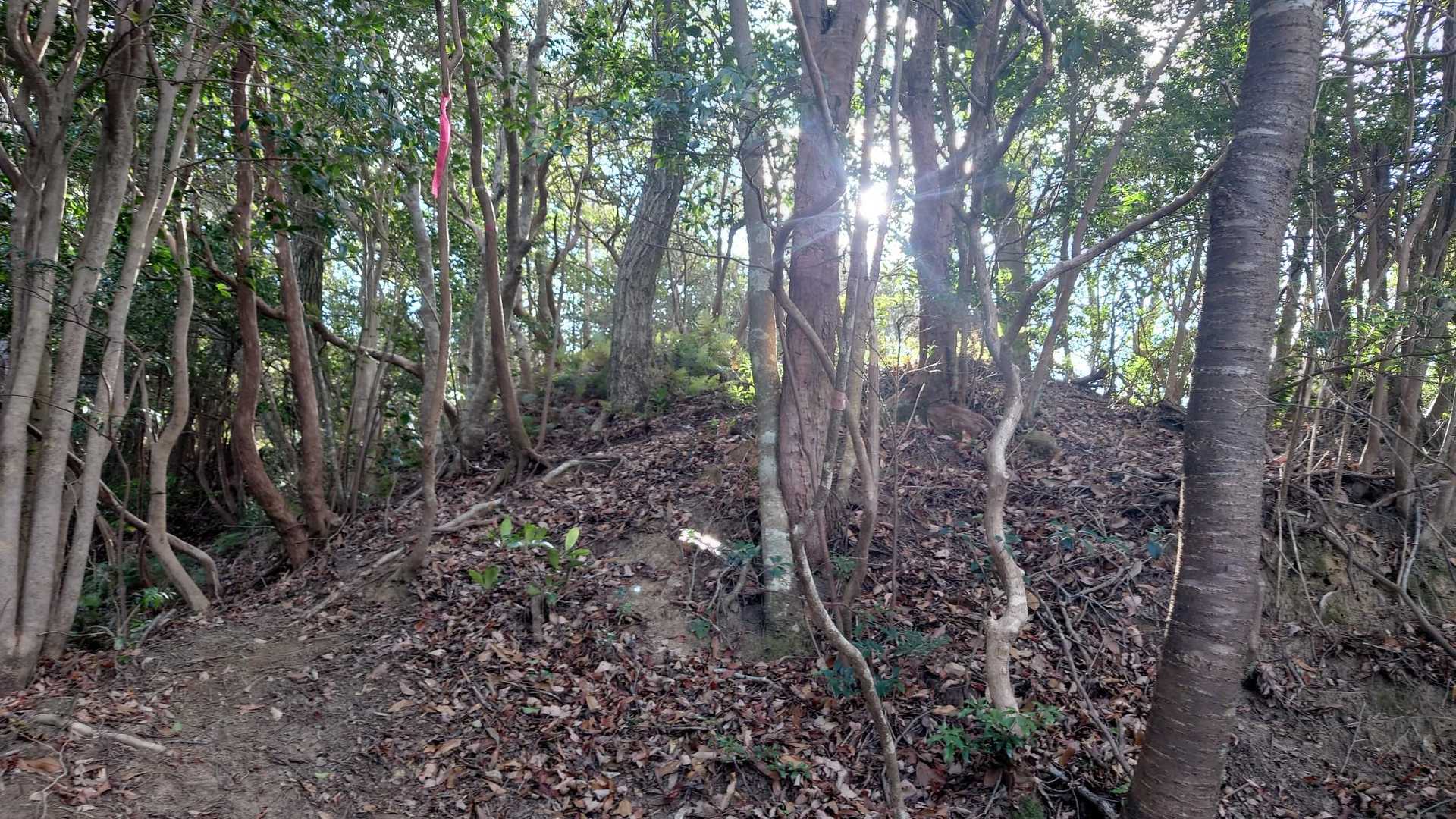 小麦ヶ岳-蕎麦ヶ岳 往復コースの写真