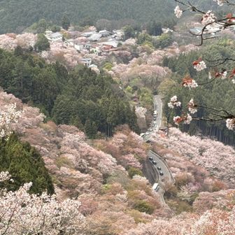 アキ
