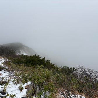 さっきまで見えていたのに☁️
