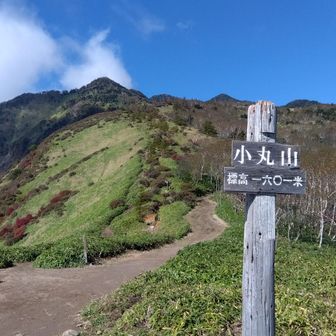 左奥のトンガリが赤薙山らしい