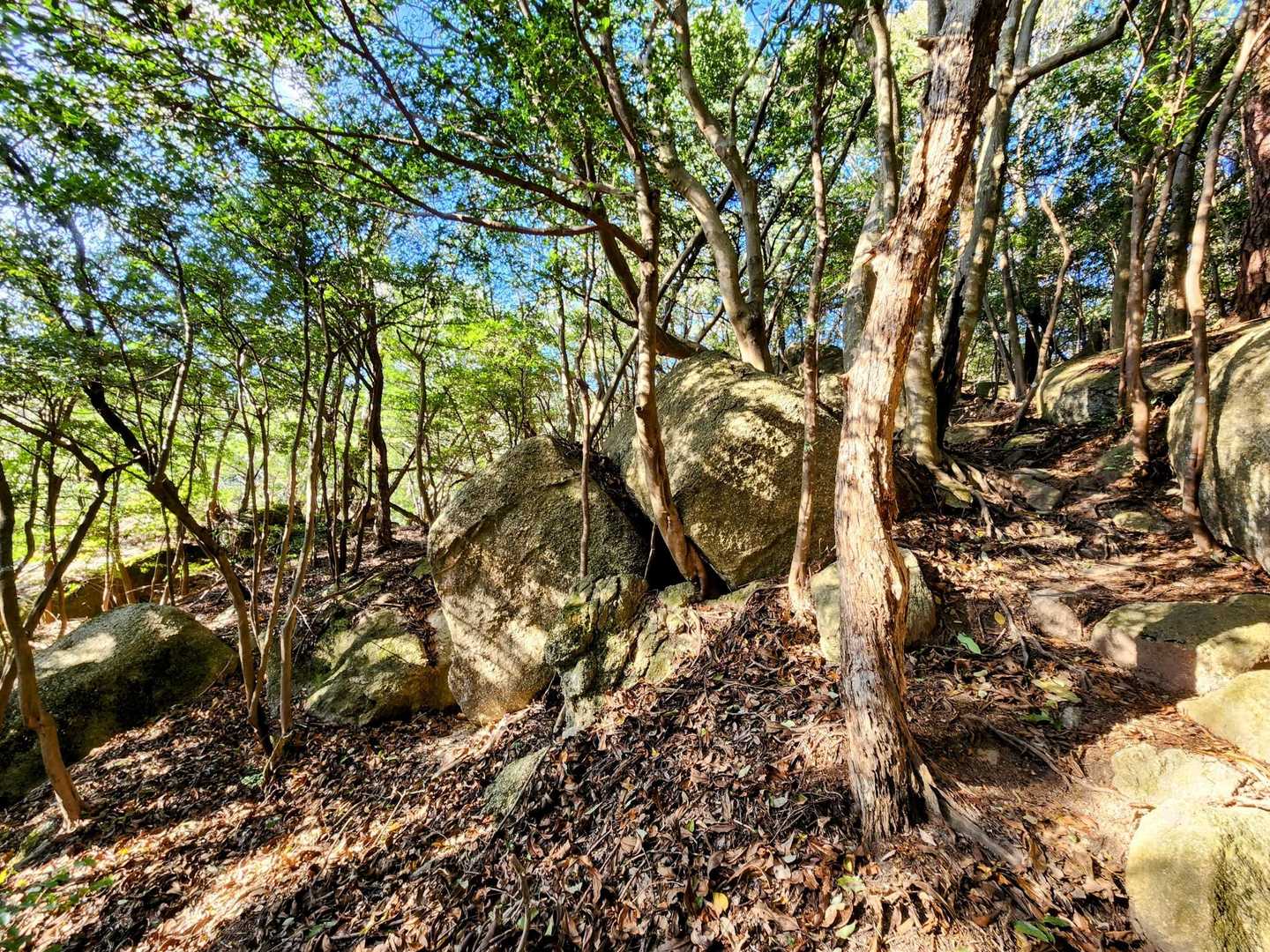 ここは昔、岩🪨を切り出していたところなので、このような大きな岩が沢山あります💦