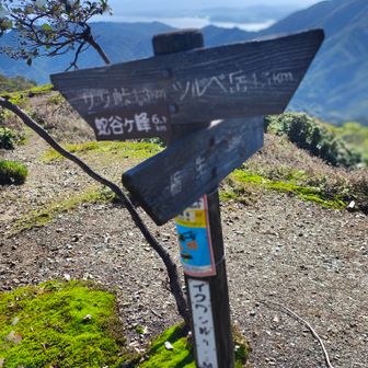イクワタ峠に到着
