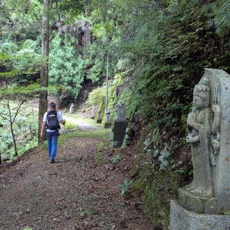 太竜寺山に向います。右側に八十八箇所霊場が並んでいます。