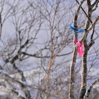 そろそろちょうどいい時間⏰
今日はここで切り上げて下山します🙋‍♂️