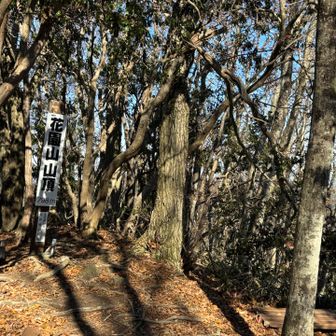 花園山山頂は、こんな感じです。