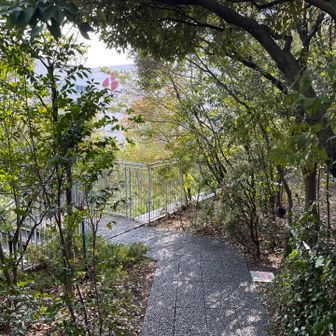 鬱蒼とした山の雰囲気😨