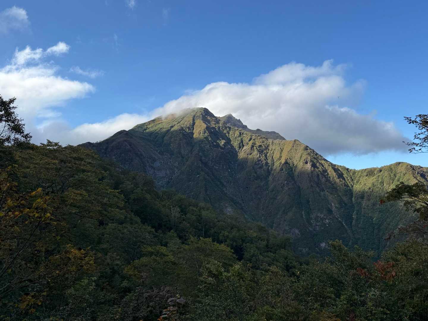 下山して振り返る。
あんな高いとこに行ってきたんだね！
自分凄いと達成感の子供たちでした〜

柔軟性と協調性
みんなで楽しい登山で私も楽しかった〜！
ありがとう。また大人になったらきてね😊