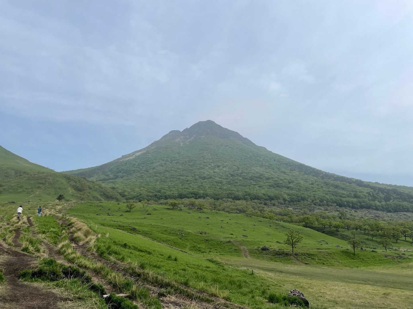 大分港から路線バス、大分駅でレンタカーを借りて正面登山口へ　野焼きの後で緑が美しい😍