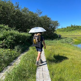 日傘☂️欲しい！