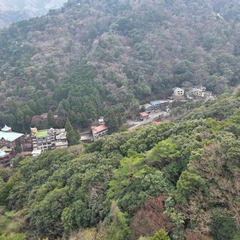 中登山道までに歩いた舗装道が見えます。