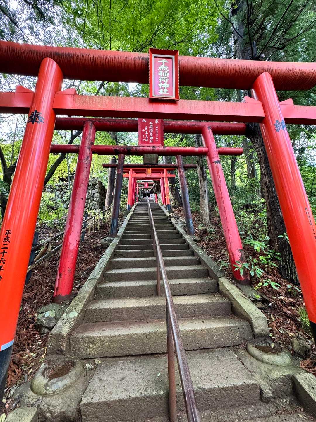 千歳山までは
階段が続きます。。。