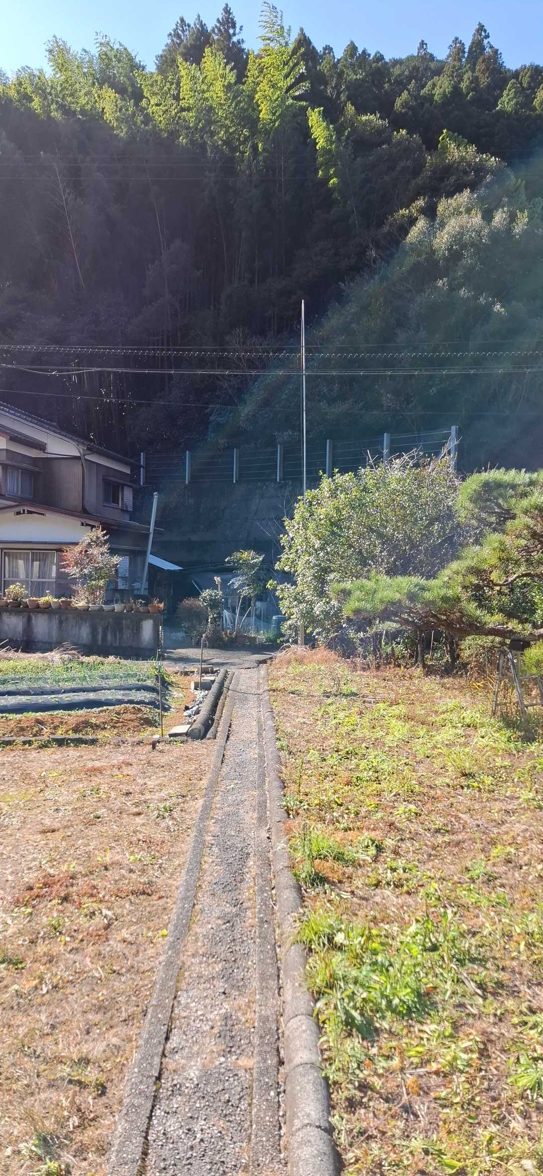 下りて来ました、初めてだと判りづらい登山口です
