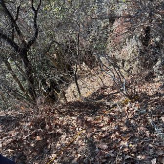 ここを降りてみて