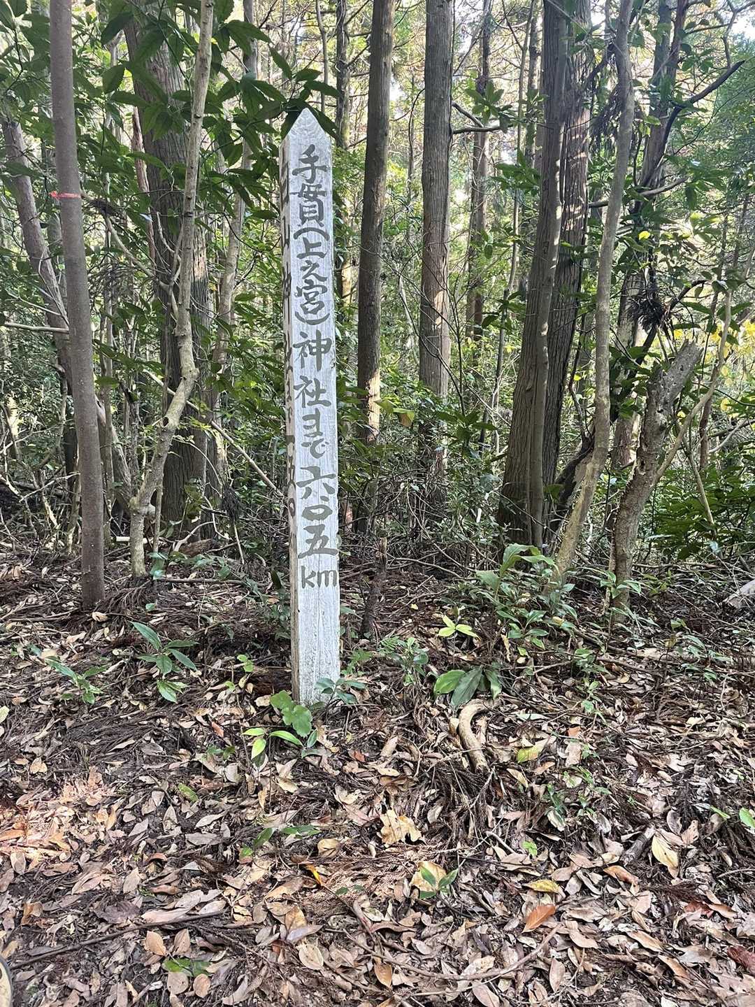 白山登山口-白山-横岳 往復コースの写真