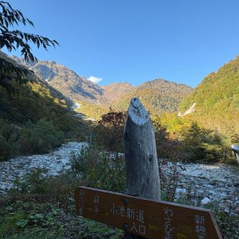 やっと下りてきました！