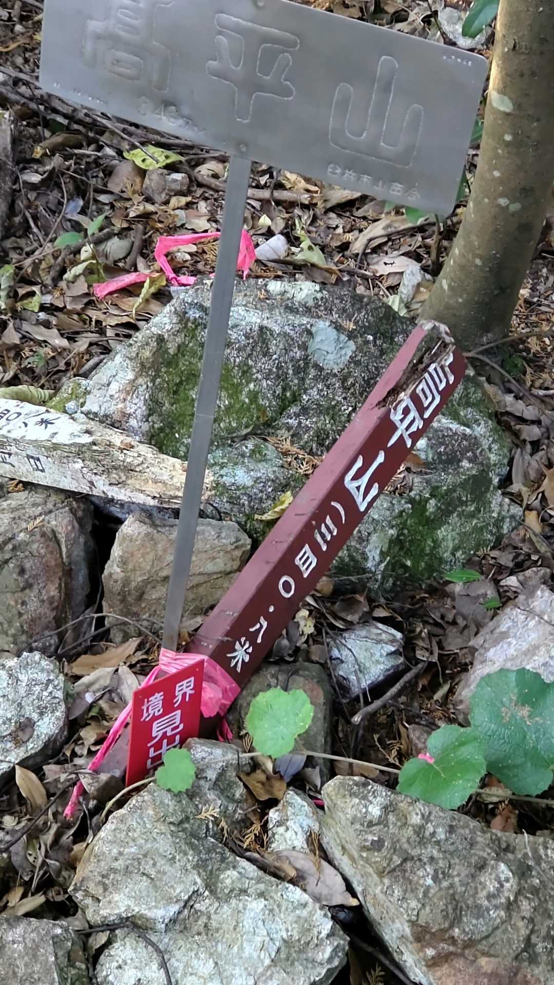 山頂三角点
