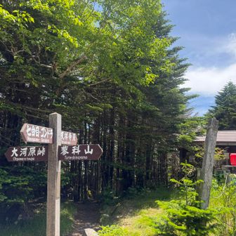 ここから約1時間　かなりの岩場です
