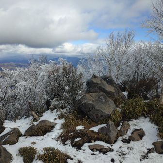 ビューポイントより