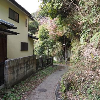 一旦、住宅地に出て、急坂を下り、そして上ります。