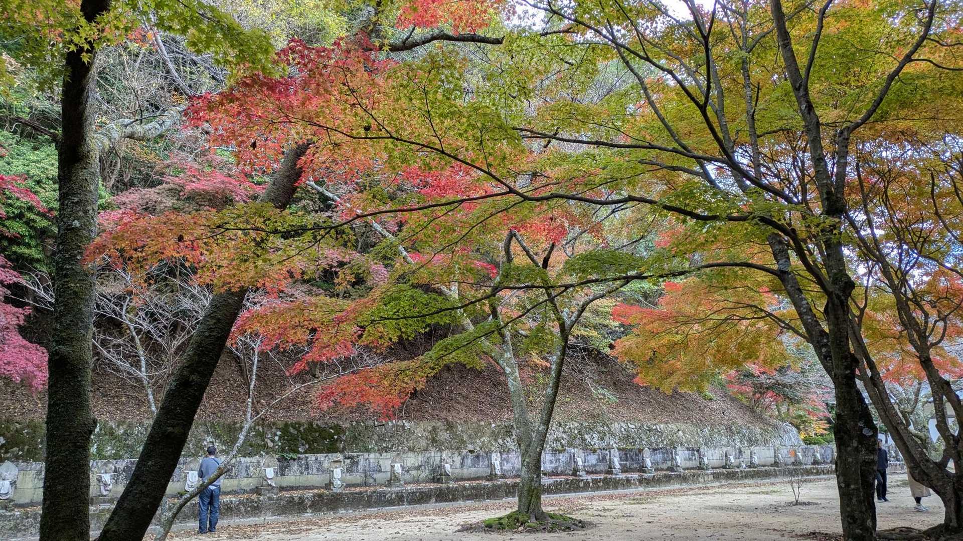 綺麗なものは写真に撮りたくなるんですよね〜😄
参拝に来てる皆さんも写真撮りまくりです😁