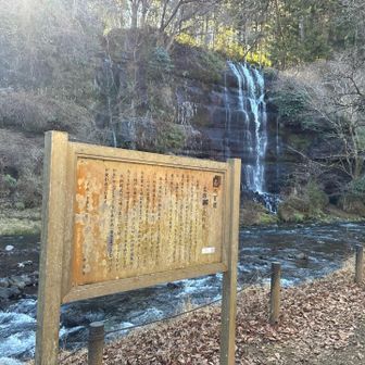 夏は涼しいでしょうね。