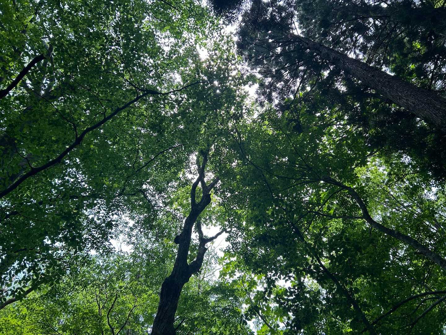綺麗💚