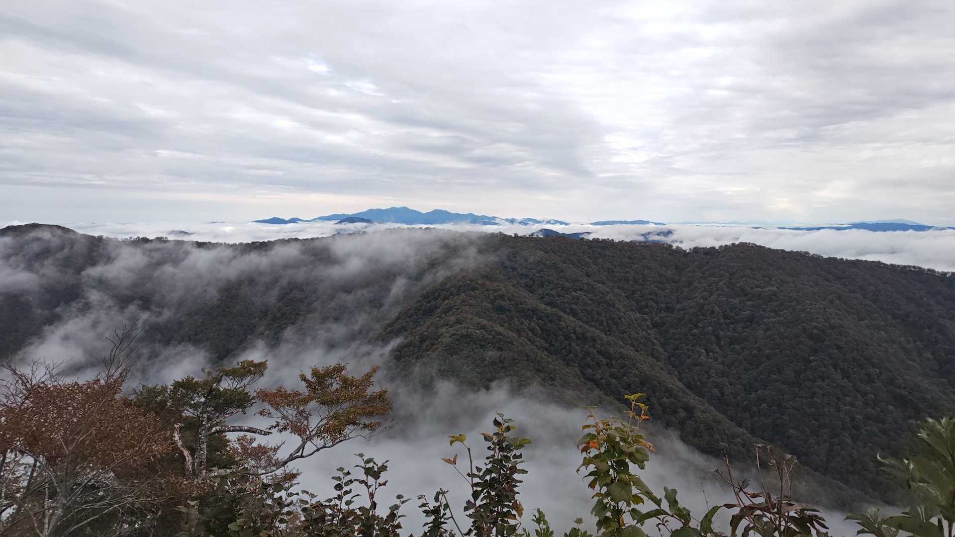 温見峠-能郷白山 往復コースの写真