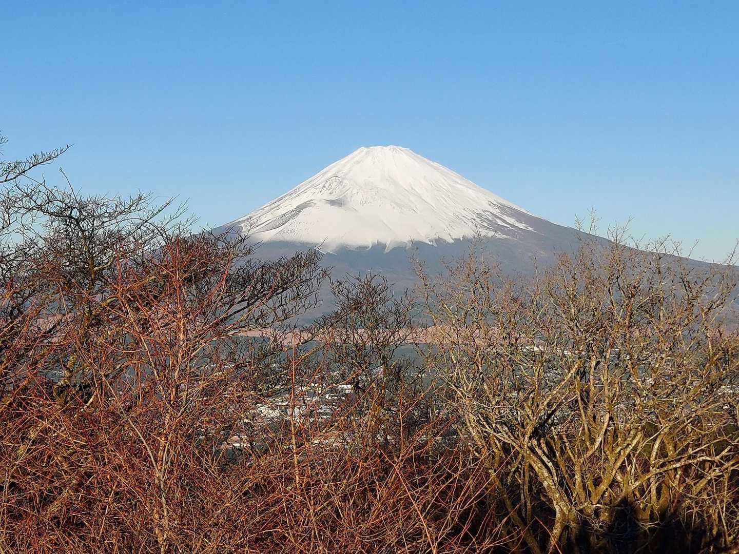 富士山🗻