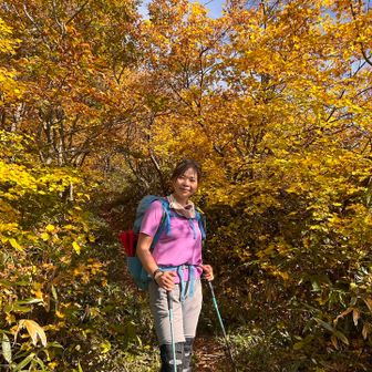 樹林帯の輝く黄色🟨の紅葉。

最初から最後までほんとに美しい素晴らしい山旅でした✨
そして何より楽しかった❣️😊