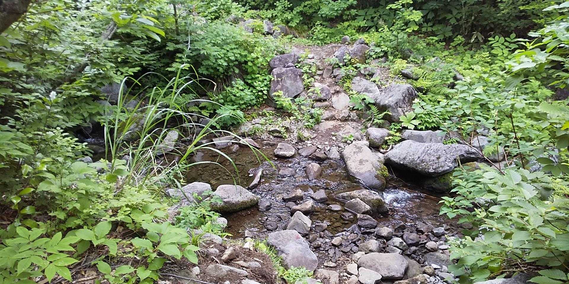 沢の水音を聞きながら、渡渉あります