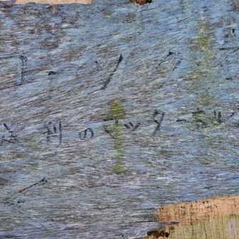 足利のマッターホルン😂