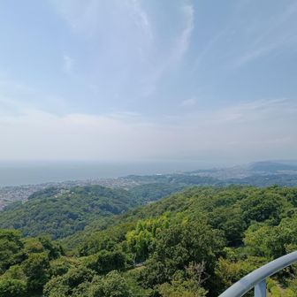 展望台からの眺め②
小田原市街