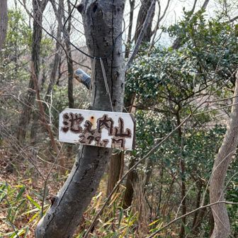 内が肉に見えた俺は疲れてる(ごめんほんまにコメント思いつかん)