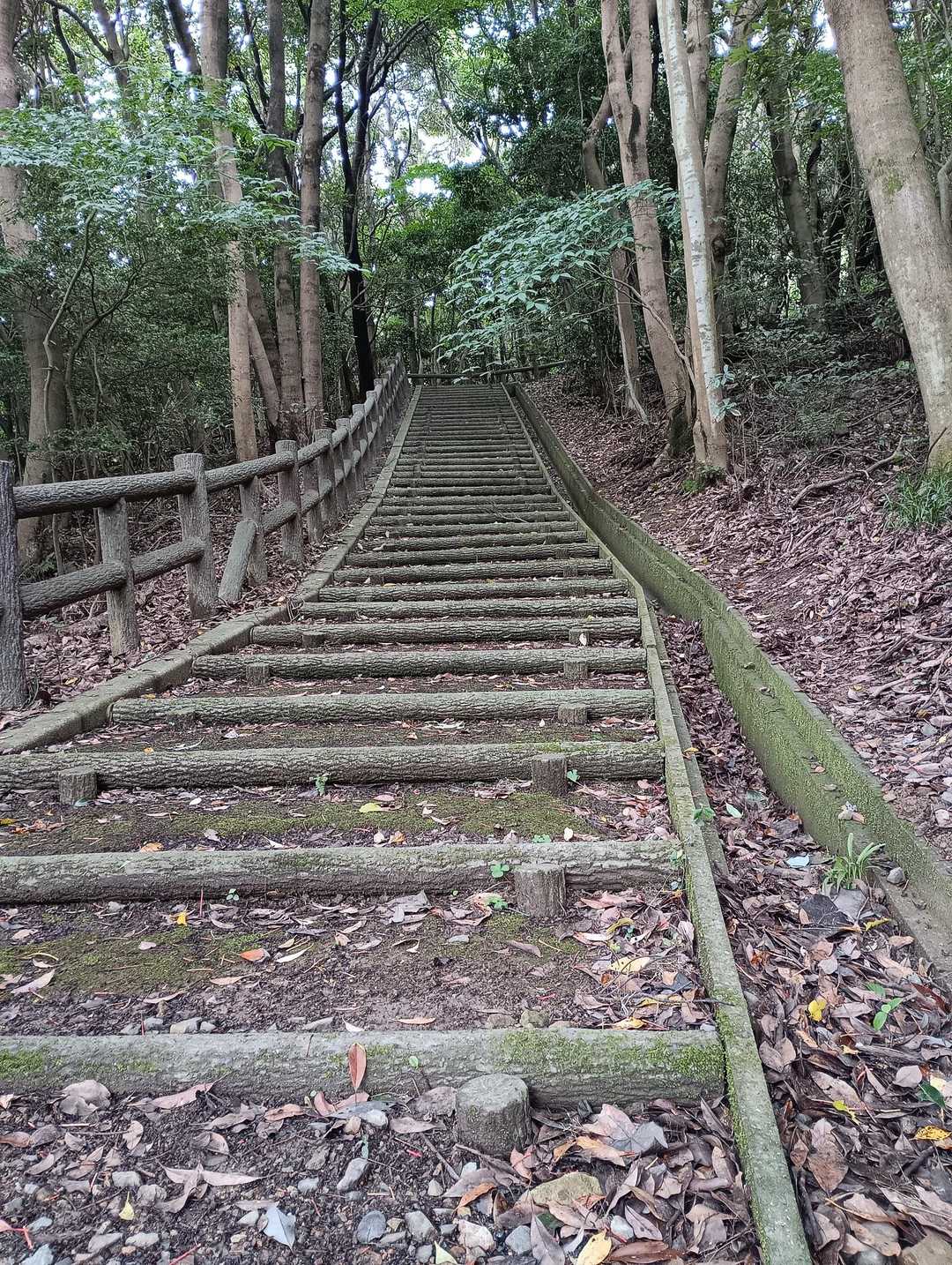 登るのか…