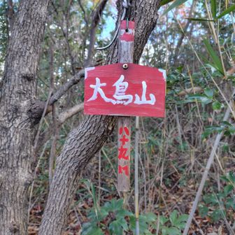 大鳥山
