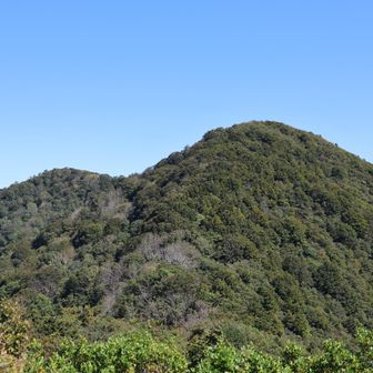 振り返ると小倉谷山です。
かなり下ってきましたな…