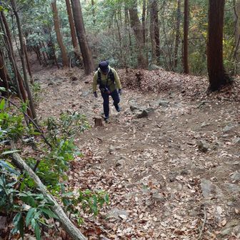 ぽやち　頑張ってます🚶🏻‍♂️