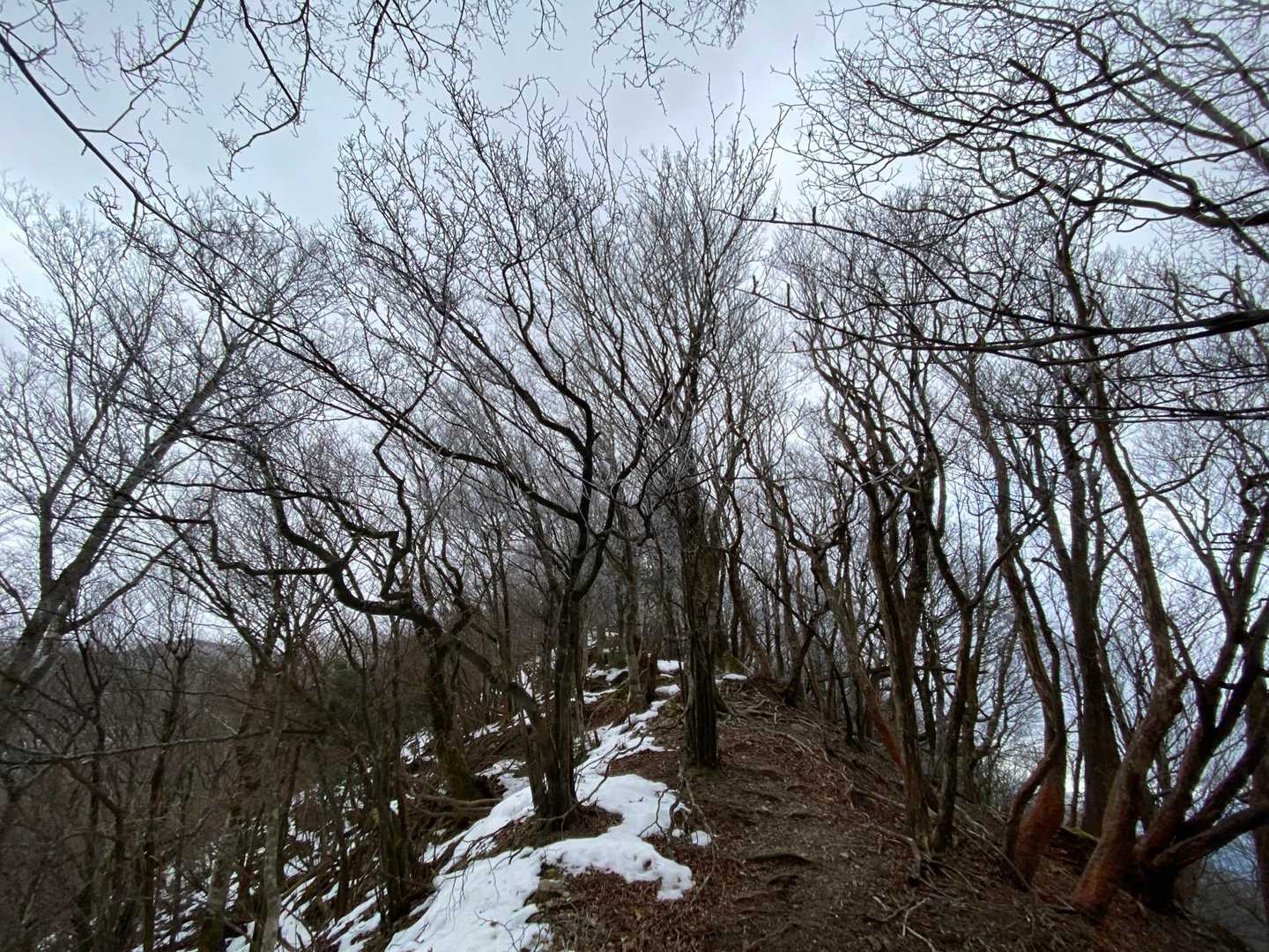 尾根を歩く
